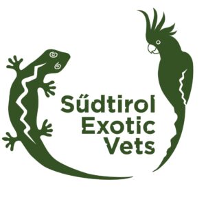 clinica-veterinaria